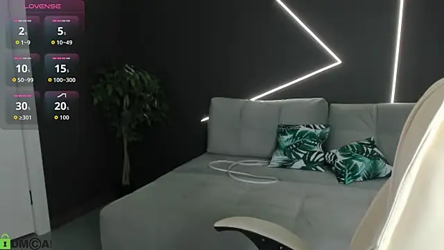 leadaisy webcam