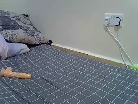 verl1 webcam