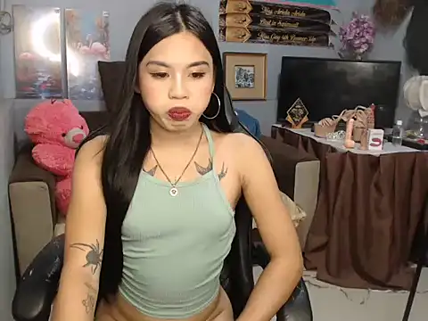 Salomesalvi webcam