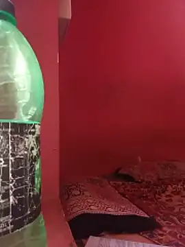 breakanal webcam