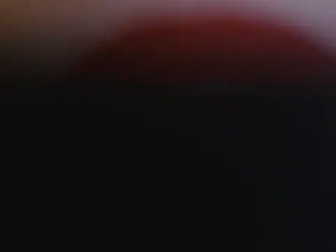 Stubborndesiboy webcam