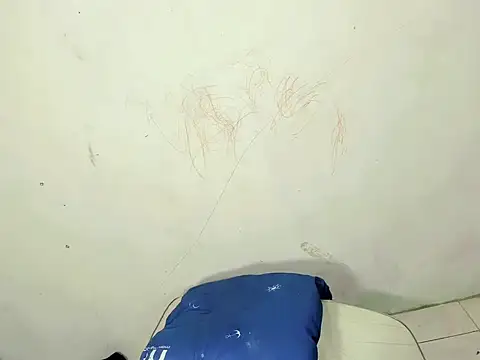 Yachirruu webcam
