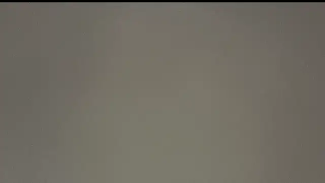 novanotreally webcam