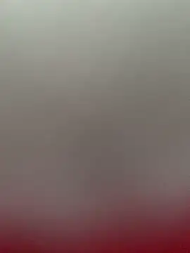 BBC-XXL webcam