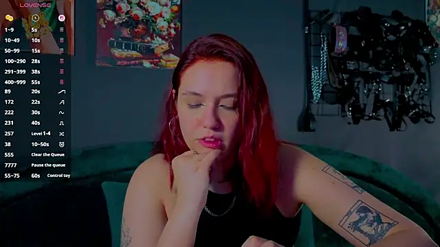 Serve_to_Alexa webcam