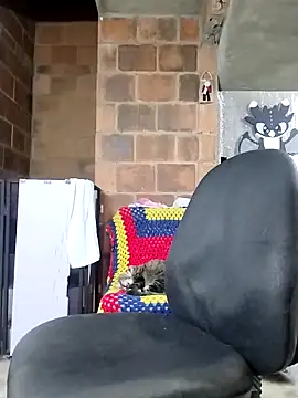 rejypool webcam