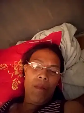 toyo_668 webcam