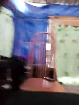 Minaamoto webcam