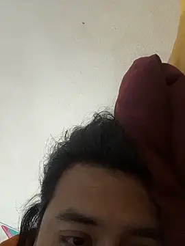 MexaVergon webcam