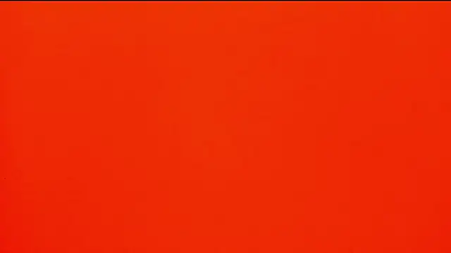 michdan1 webcam