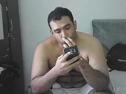 IronSideBear live cam