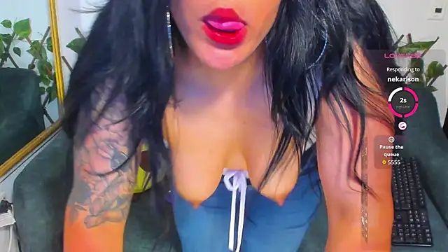 la_saris webcam