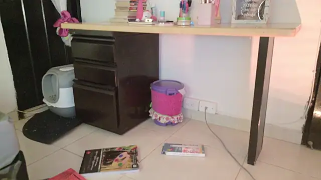 eva_sin18 webcam