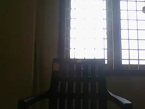 nbolla1 webcam