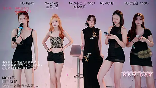 NEW-DAY webcam