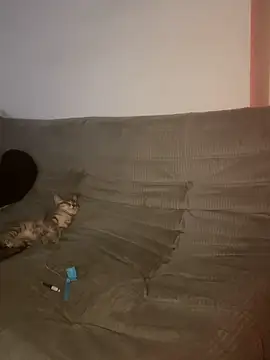elliepixie webcam