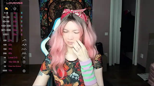 Project_hisoka webcam