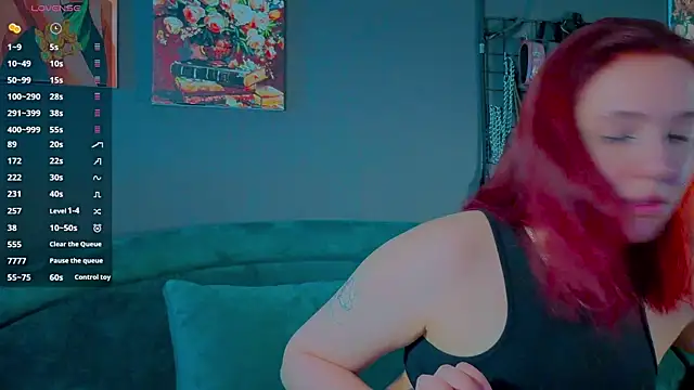 Serve_to_Alexa webcam