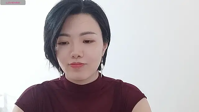Nikishine webcam