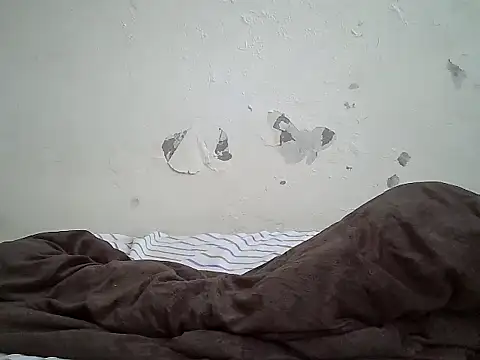 cockdory webcam