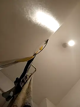 teekoine1 webcam