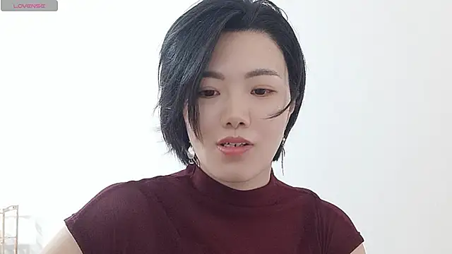 Nikishine webcam