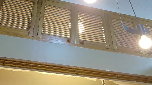 kaiawhite webcam