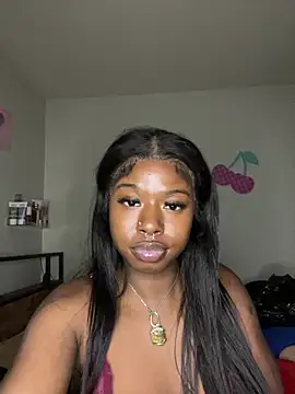TinyBlazian901 webcam