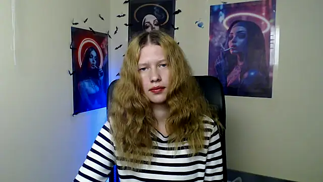 StellaCRL webcam