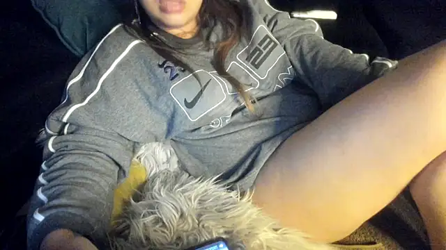 meichang452 webcam