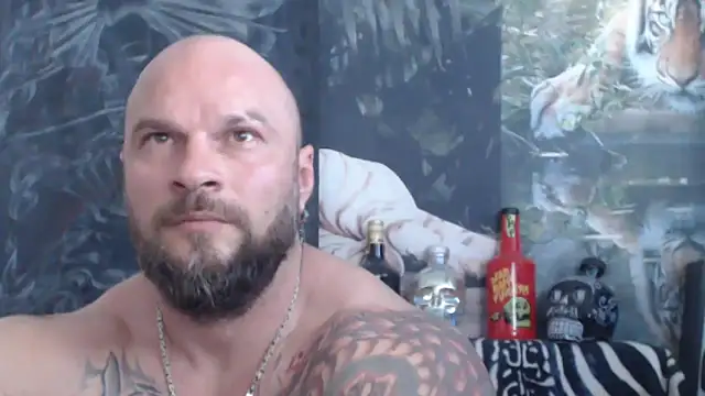 viking_30 webcam