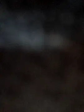 danilyns webcam