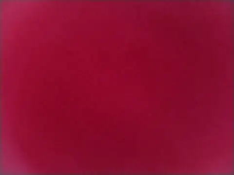 bigdoog8 webcam