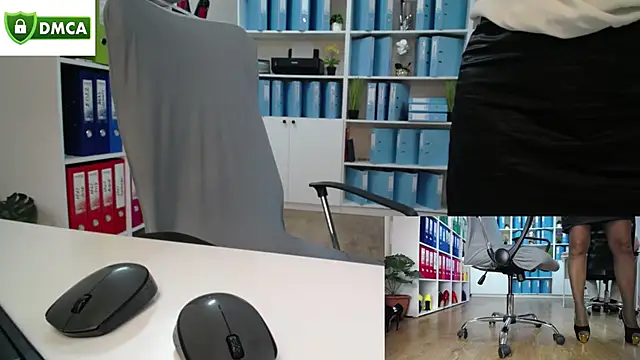 secret-office webcam