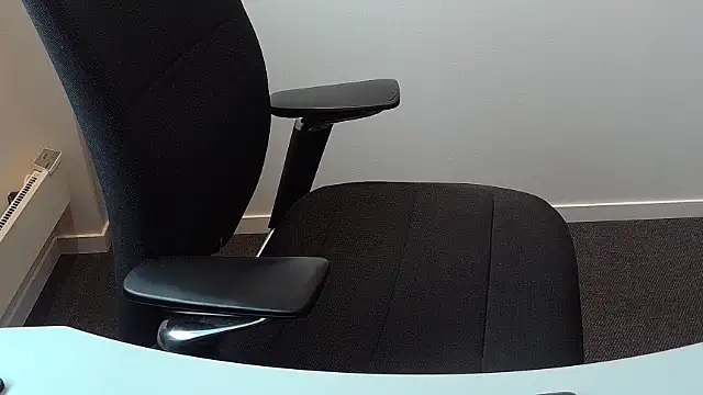 Buggemann webcam