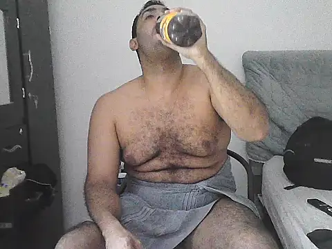 IronSideBear webcam