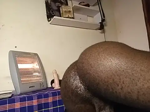 Moteroxz webcam