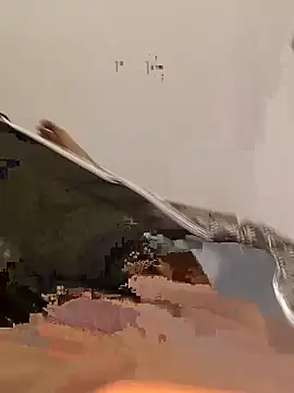 Gurgaonbull01 webcam
