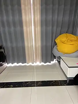fafade2588 webcam