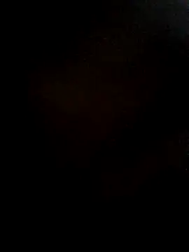 948197 webcam