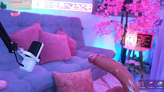 Hayami_Lee webcam