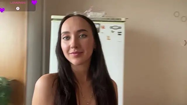 Liesenaniles webcam