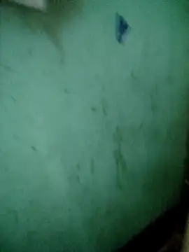 Ayti01 webcam