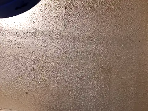247Srokin webcam
