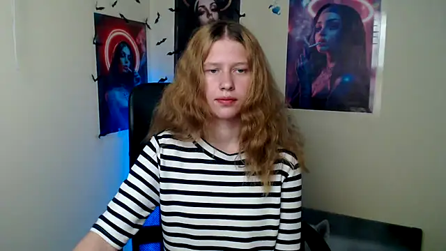 StellaCRL webcam
