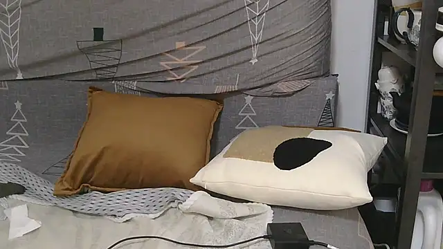 866532 webcam