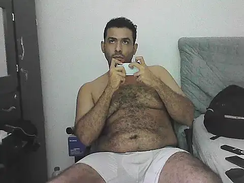 IronSideBear live cam