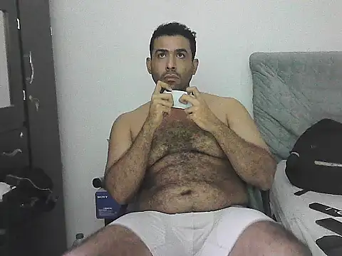 IronSideBear live cam