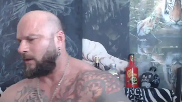 viking_30 webcam