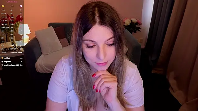 evafolver webcam